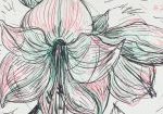 433-maryfiler